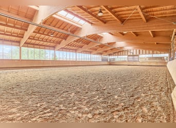 Reitanlage in Bayern mit historischem Wohnhaus und gepflegten Trainingsbedingungen!