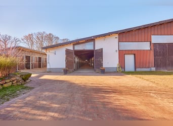 Reitanlage in Niedersachsen (Landkreis Uelzen) mit Wohn- und Gästehaus zu verkaufen!