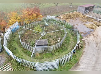 Reitanlage in Osterburken – vielseitige Nutzungsmöglichkeiten auf großzügigem Anwesen