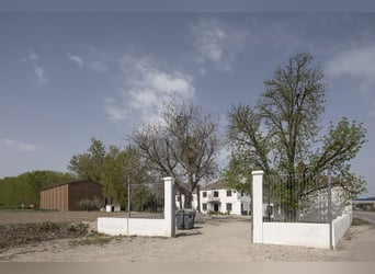 Rustic Property Ideal For Stud Farm For Sale.