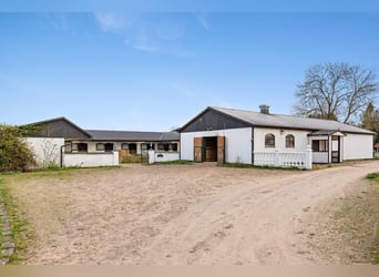 Springfield Farm – Propriété exclusive avec potentiel international, 8 ha