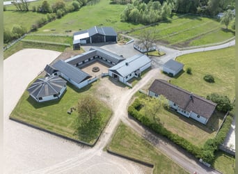 Springfield Farm – Propriété exclusive avec potentiel international, 8 ha