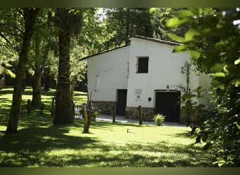SUD DE L'ESPAGNE. FERME ÉQUESTRE ET MAISON RURALE
