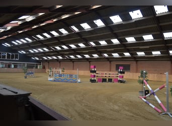 Te huur aangeboden een professionele paarden manege/complex/stallen