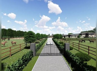 Terrain agricole avec permis de construire pour un centre équestre professionnel à Cologne !