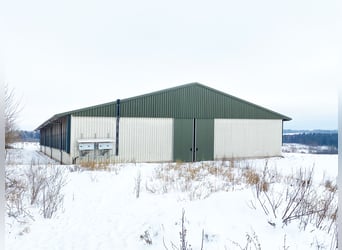 Traumhafte Reitanlage mit Reiterstube – Alleinlage inmitten Südthüringer Natur + perfekte Anbindung