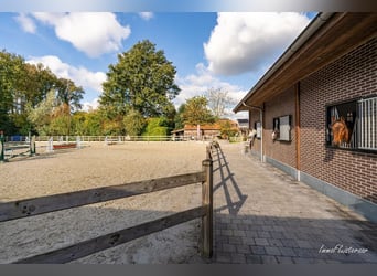 Unieke trainingsstal met prachtige villa op ca. 1 ha te Halle-Zoersel (Mogelijkheid tot aankoop extr