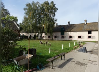 Vergabe der Reitsportanlage Monaise im Erbbaurecht