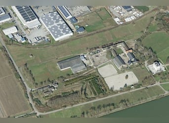 Vergabe der Reitsportanlage Monaise im Erbbaurecht