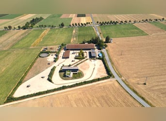 Villa à l’architecture contemporaine avec manège couvert de 60 m et concept innovant d’hébergement d