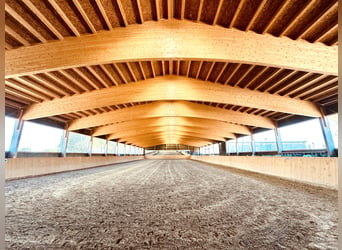 Villa à l’architecture contemporaine avec manège couvert de 60 m et concept innovant d’hébergement d