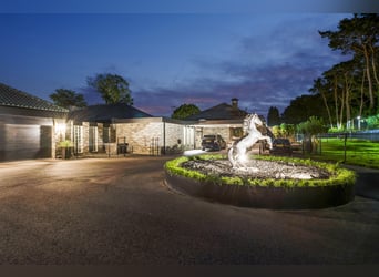 Villa exclusive avec maison d'hôtes et installations équestres à proximité du parc national de De Me