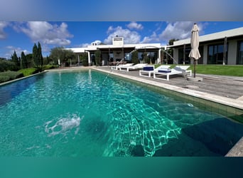 Vivre avec élégance dans une installation équestre haut de gamme en Algarve, au Portugal.