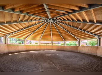 Wohnen & Reiten perfekt vereint: Ihr exklusives Reitdomizil in Top-Lage
