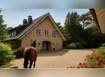 Wunderschönes Reitanwesen in Alleinlage NRW Deutschland