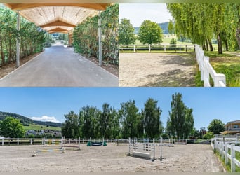 Zu Verkaufen Reitanlage im Raum Thurgau (Schweiz)