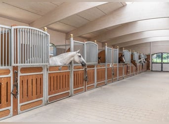 Zu Verkaufen Reitanlage im Raum Thurgau (Schweiz)