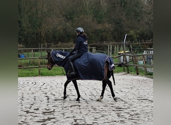 Chemise imperméable pour monter 