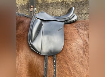 Selle Kent&Masters 17"5