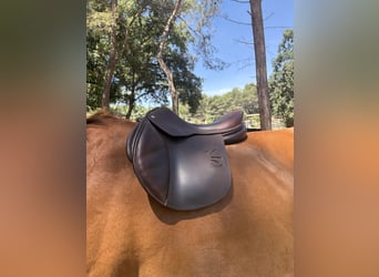 Selle CHILDÉRIC