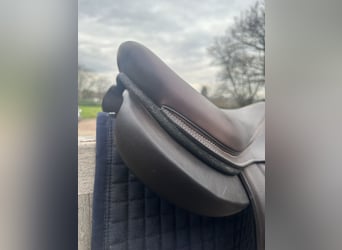 Selle forestier Séoul