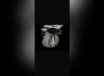 selle mixte wintec 200 état excellent petit prix TAILLE 17,5