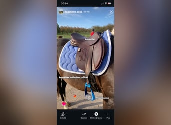 À vendre, selle peu utilisée