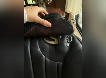 Selle Forestier Séoul 17 pouces