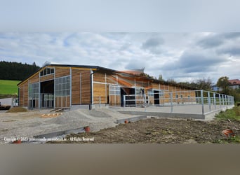 Achat de box ou de pension extérieure - Construction d’écuries, boxes et paddocks ouverts idéaux pou