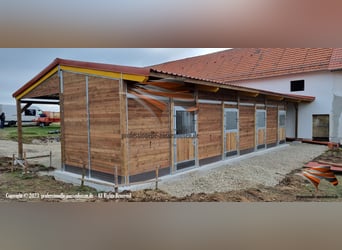 Aussenbox, Pferdestall bauen, Pferdebox, Offenstall bauen, Unterstand, Stallungen, Stall bauen,