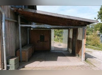 Pferdeunterstand Futterplatz Heulager Holzlager 