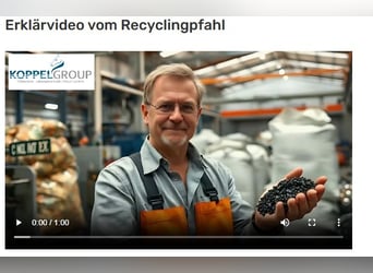 Recyclingpfähle, 10 x 230 cm, Zaunpfähle, Koppelpfosten, Freihaus