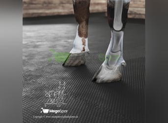 Tapis en caoutchouc, tapis de repos, tapis d’écurie et tapis pour chevaux de haute qualité – Extra l