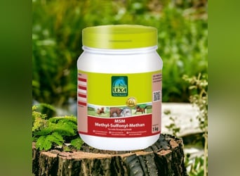 MSM (Methyl Sulfonyl Methan) 1kg UVP 20,80€