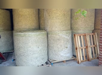 Foin de prairie biologique, foin bio, balles de foin, foin de pâturage, balles rondes