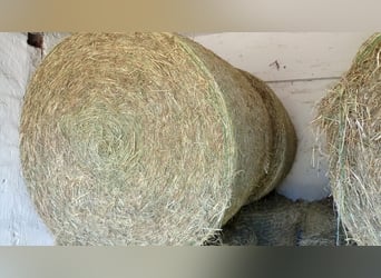 Foin rond bio 2024, retrait ou livraison