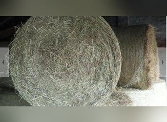 Heu Pferdeheu Pferdefutter Rundballen Heuballen Wiesenheu