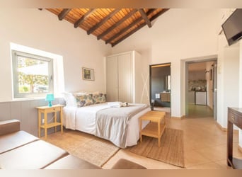 Beautiful Property With Vineyards And Accommodation For Wine Tourism.