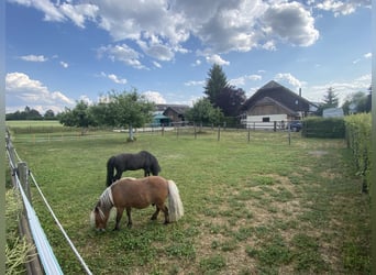 Einfamilienhaus mit Freizeit-Reitanlage