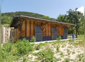 Fantastic family chalet with stable 12 minutes from Evian les Bains
