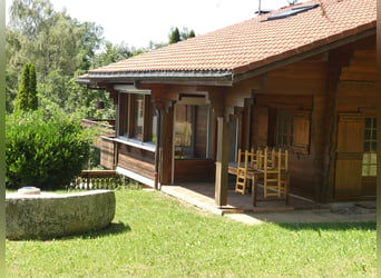Fantastic family chalet with stable 12 minutes from Evian les Bains