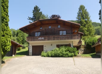 Fantastic family chalet with stable 12 minutes from Evian les Bains