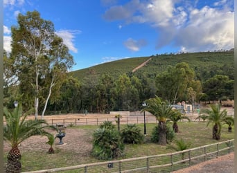 Farm For Recreation And Big Game Hunting.