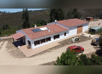 Gestüt in Portugal zu verkaufen – 40 Hektar Land, Privatseen und vieles mehr…
