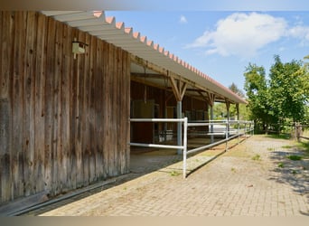 Großzügige Wohn- und Reitanlage in Bayern sucht neue Pferdeliebhaber!