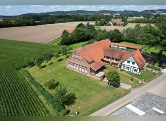 Idyllischer Aussiedlerhof mit viel Wohnraum und landwirtschaftlichen Gebäuden