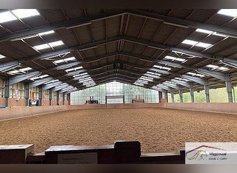 Multifunktionale  Reitanlage bis zu 100 ha. in idyllischer Grünlage Zw. Hamburg & Bremen 
