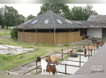 Reiterhof, Alleinlage, 27383 Scheeßel, 27 Boxen + Reit-und Longierhalle, provisionsfrei !
