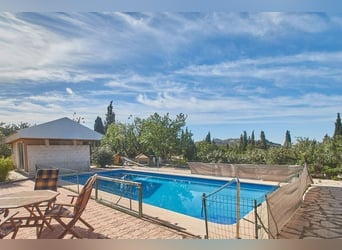 Spectacular Equestrian Farm With Chalet Near The Beach.