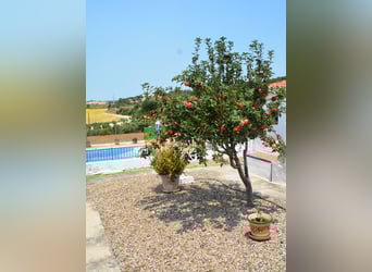 Wunderschöne Finca, ideal  für Pferdehaltung, in Arcos de la Frontera